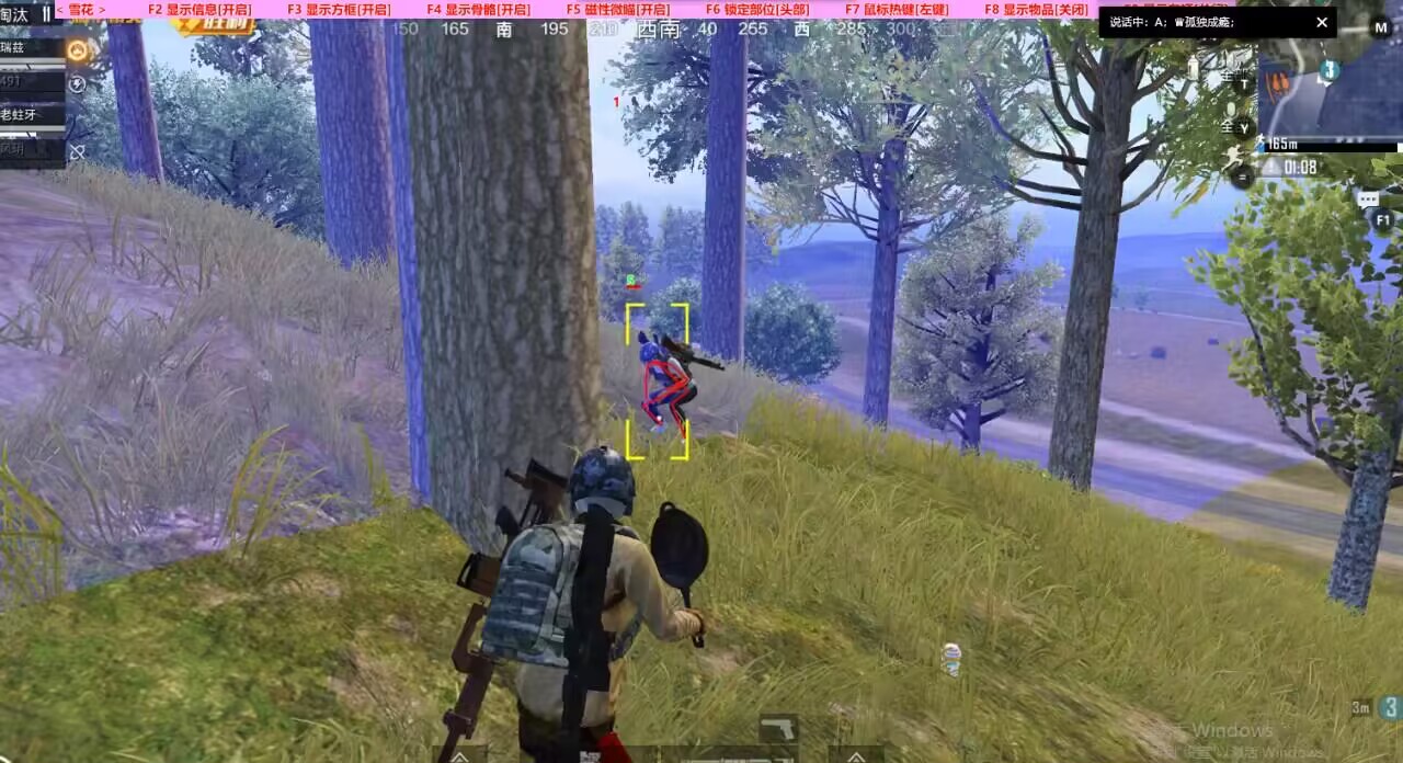 和平精英「青蛙直装」辅助，支持地铁